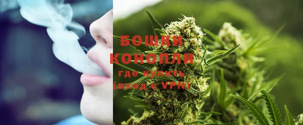 гидропоника Белокуриха