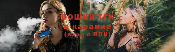 гидропоника Белокуриха