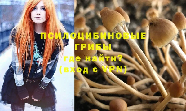 молекула духа Беломорск