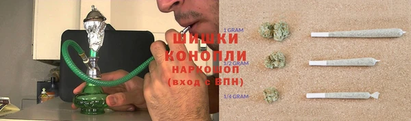 гидропоника Белокуриха