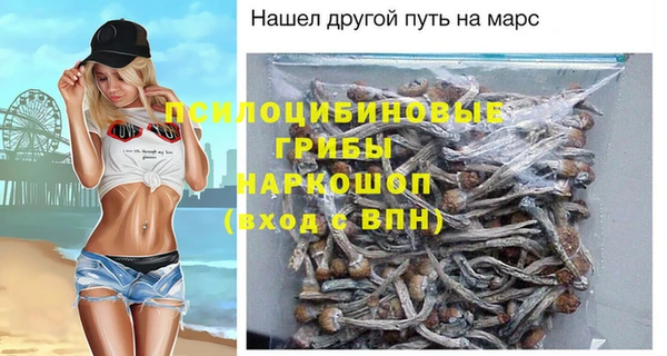 гидропоника Белокуриха